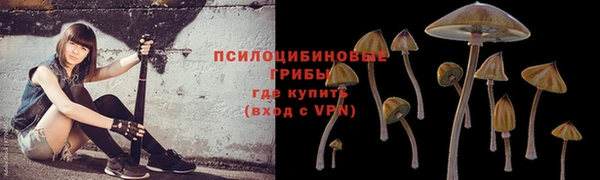 кокаин перу Аркадак