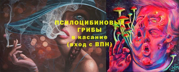 прущие крисы Армянск