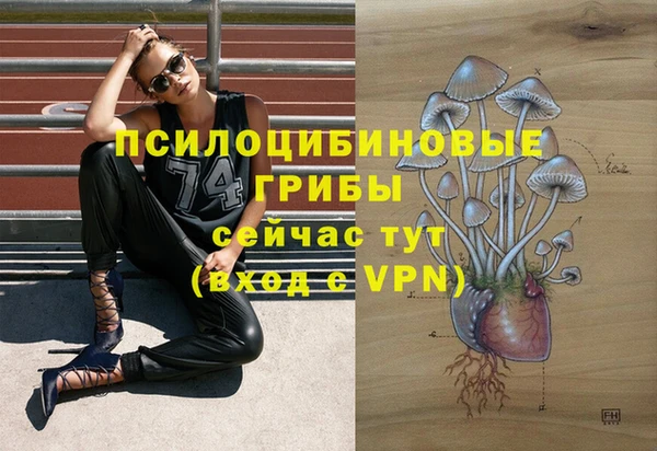 прущий лед Алексин
